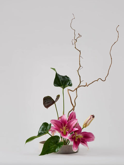 Cycle Kenzan Ikebana: Lily and Anthurium