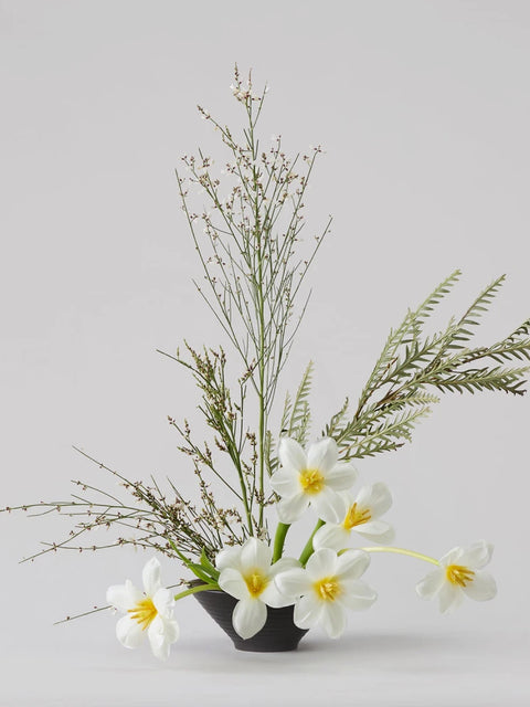 Textural Cycle DIY Kit: Tulips, Genista & Grevillea