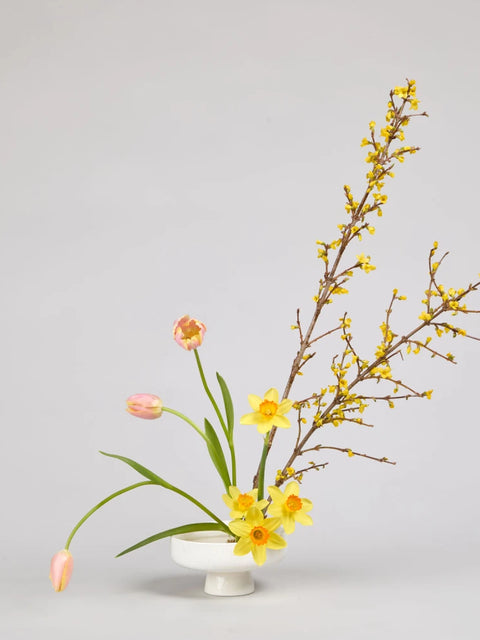 Spring Cycle DIY Kit: Daffodils, Tulips & Forsythia