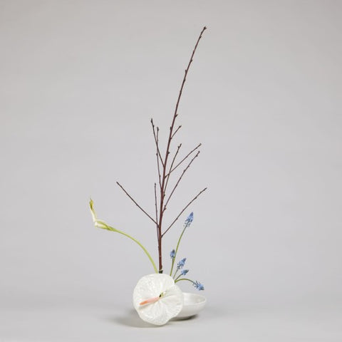 Modern Cycle DIY Kit: Anthurium, Calla Lily & Muscari