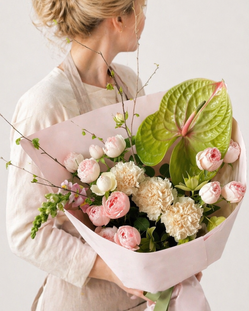 Anthurium Elegance